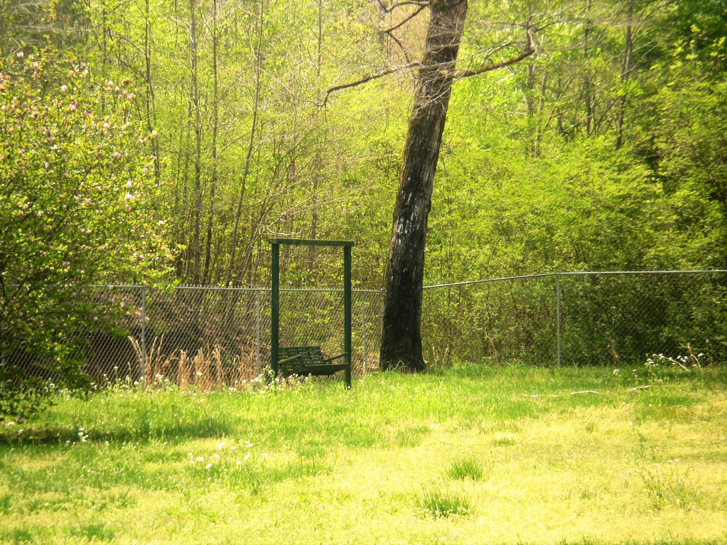816 Pickett Cross Road Whitwell, TN 37397 - Photo 6 of 20 P5310014