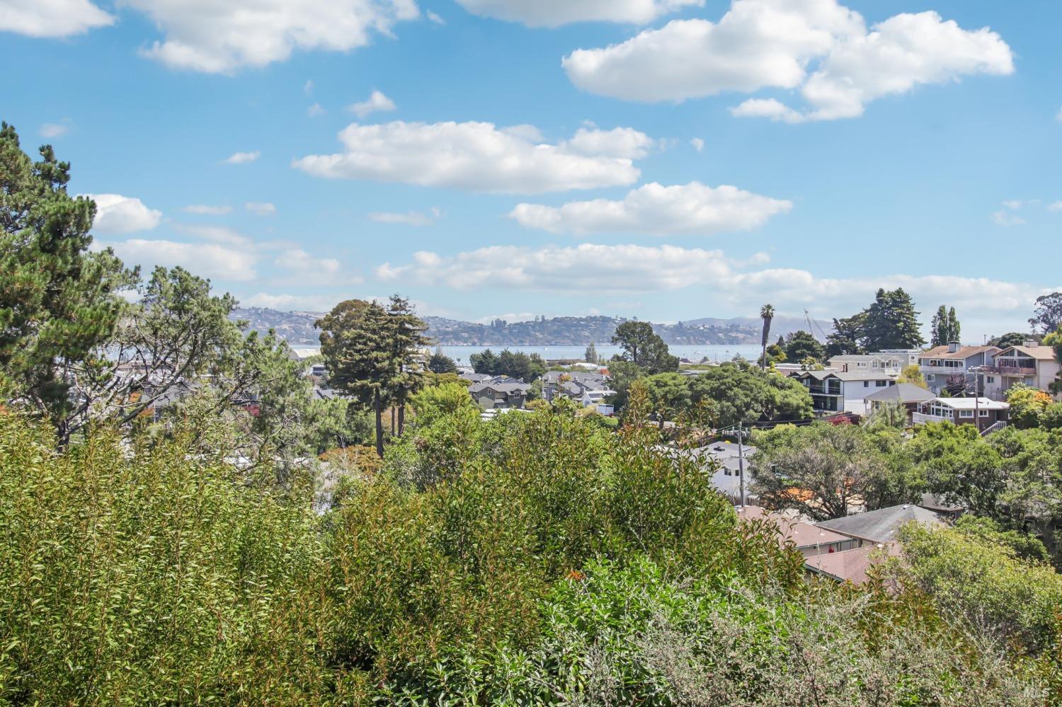 111 Lower Anchorage Road Sausalito, CA 94965 - Photo 1 of 1 a view of a city