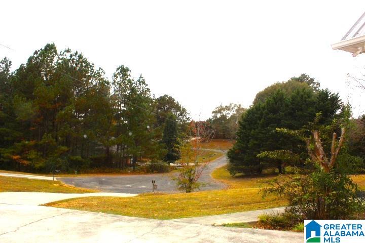 45 County Road 680 Cullman, AL 35055 - Photo 39 of 49