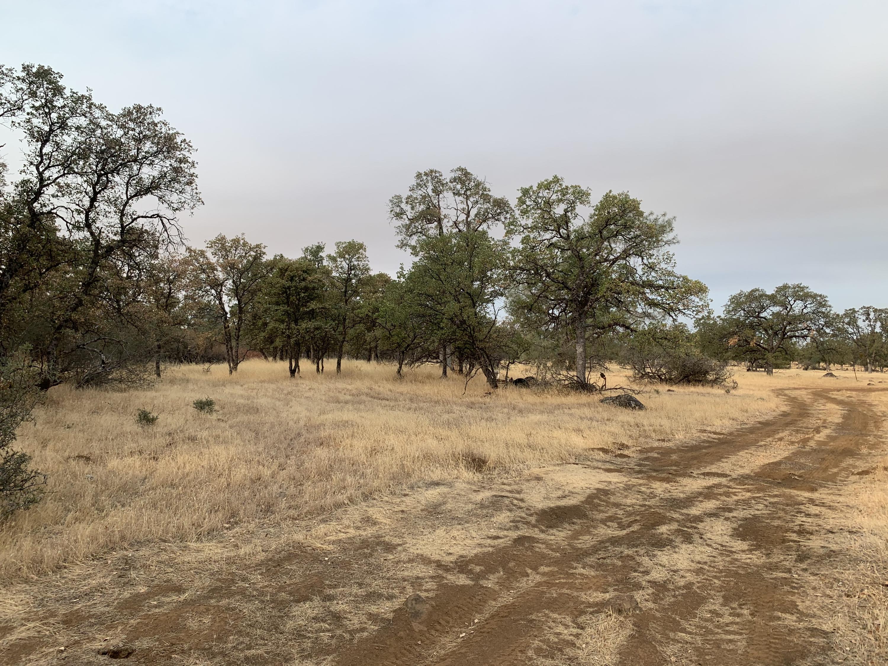 27977 Rancheria Creek Road Shingletown, CA 96088 - Photo 11 of 16 IMG-6942