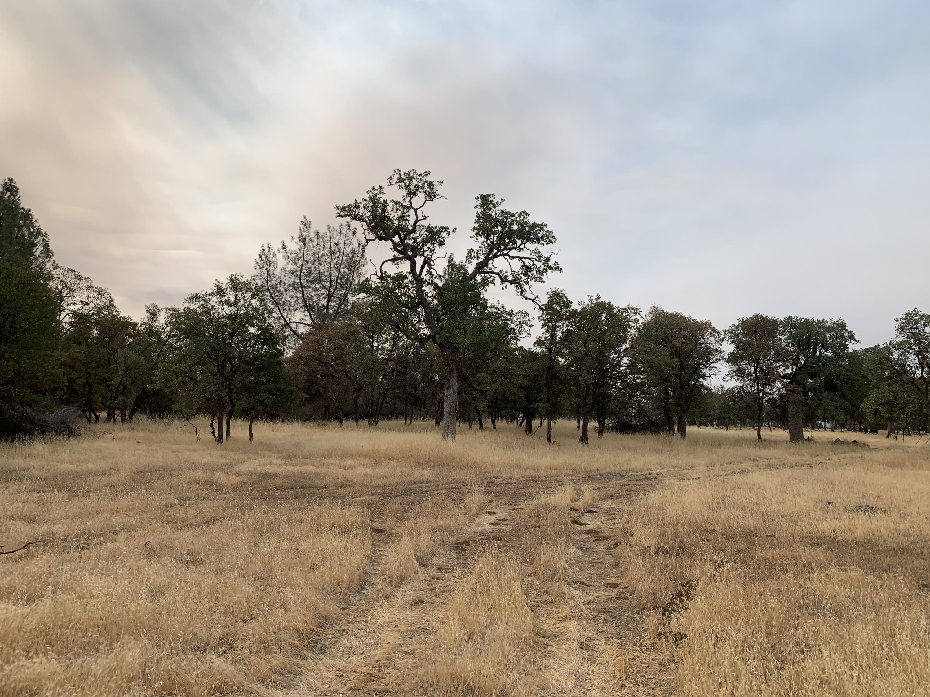 27977 Rancheria Creek Road Shingletown, CA 96088 - Photo 12 of 16 IMG-6943