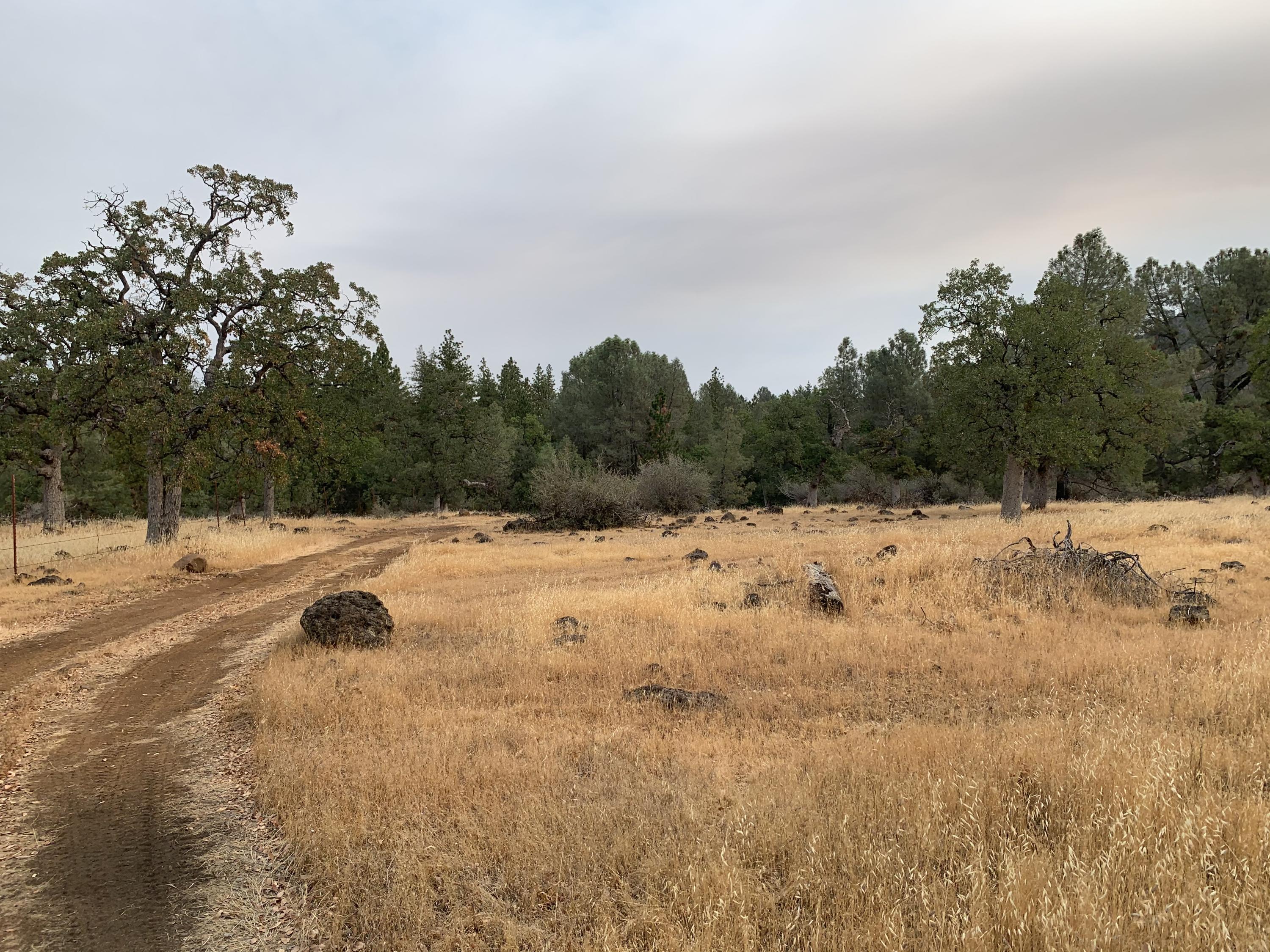 27977 Rancheria Creek Road Shingletown, CA 96088 - Photo 13 of 16 IMG-6944