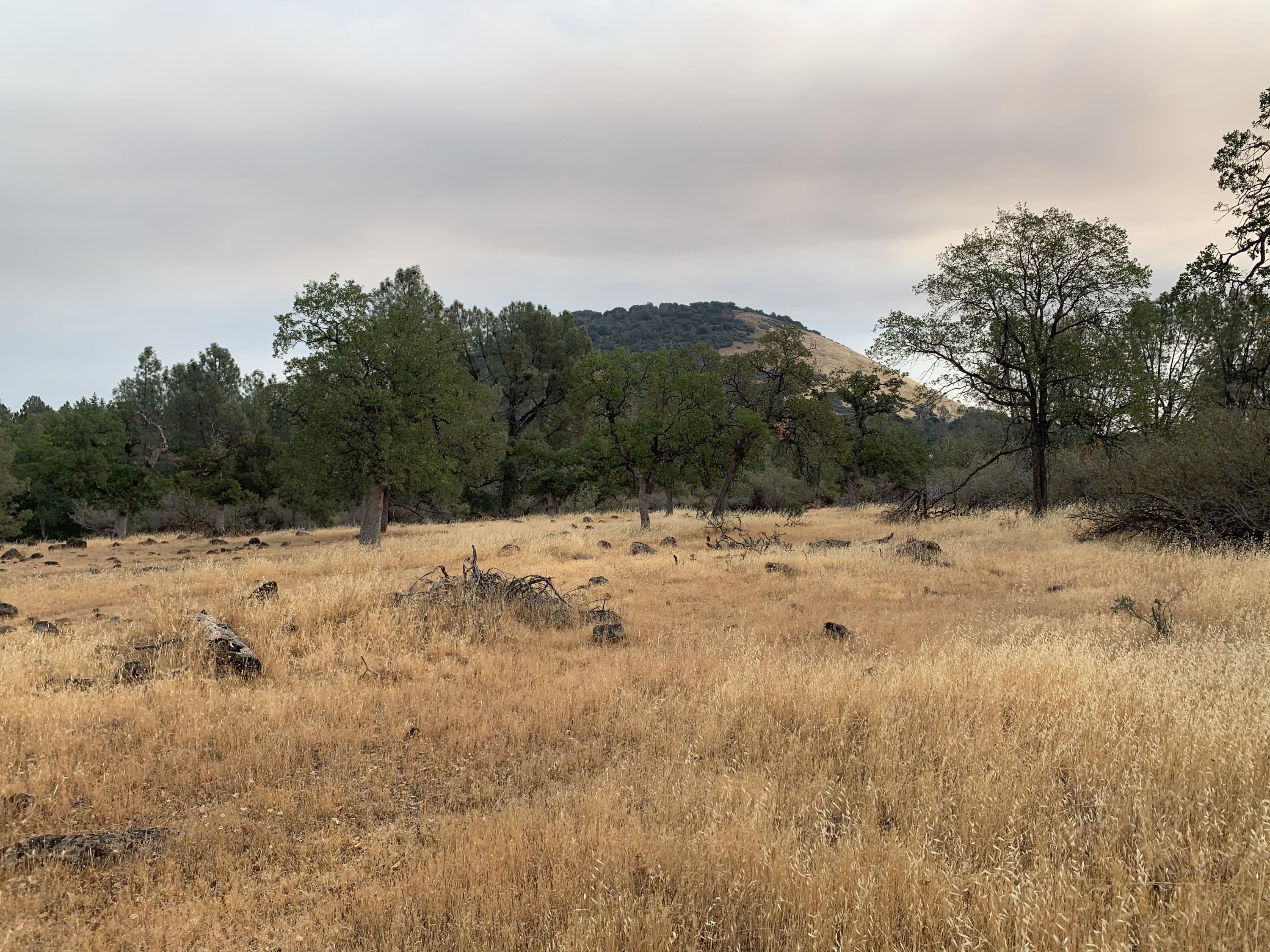 27977 Rancheria Creek Road Shingletown, CA 96088 - Photo 14 of 16 IMG-6945