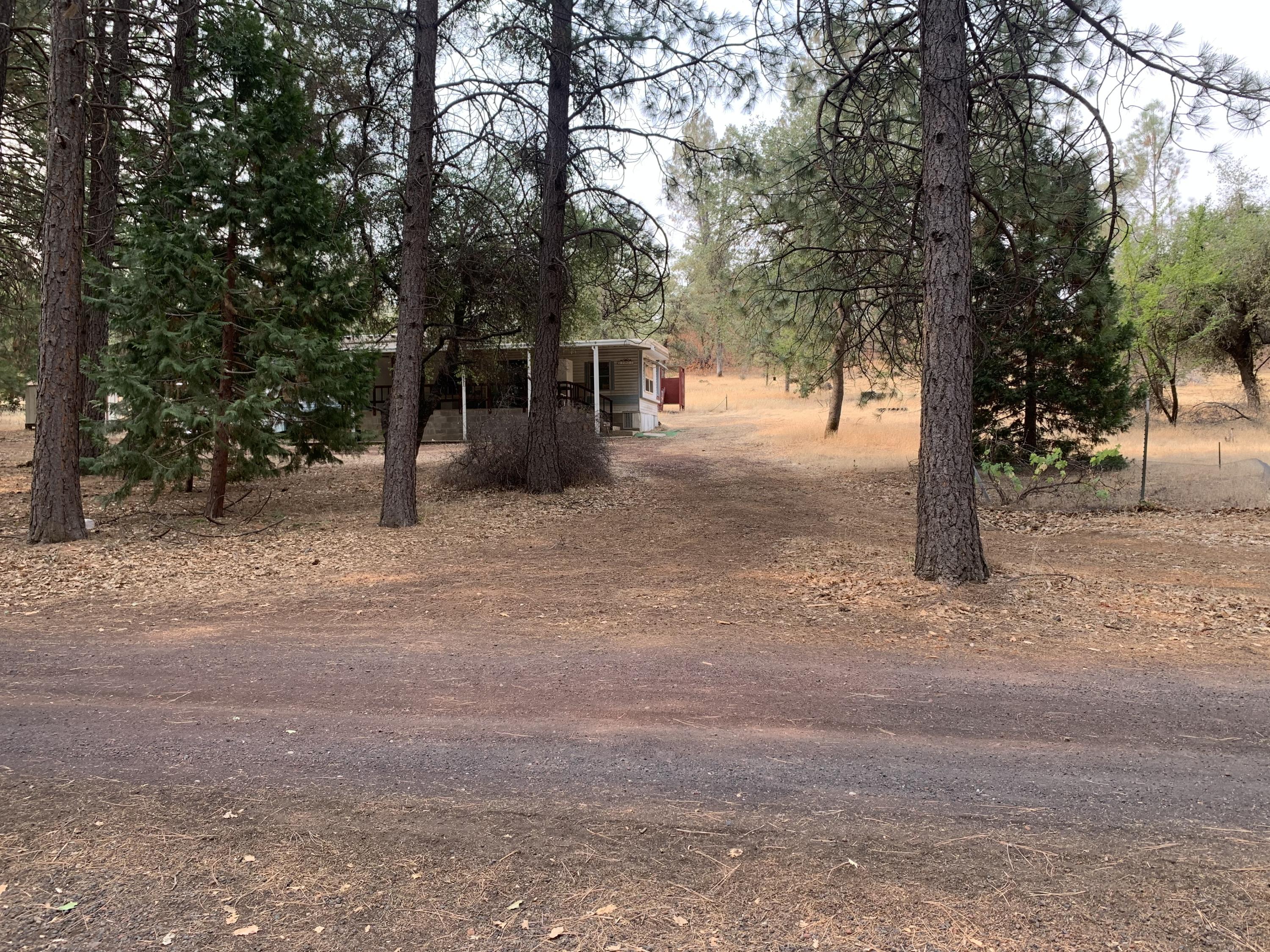 27977 Rancheria Creek Road Shingletown, CA 96088 - Photo 7 of 16 IMG-6936