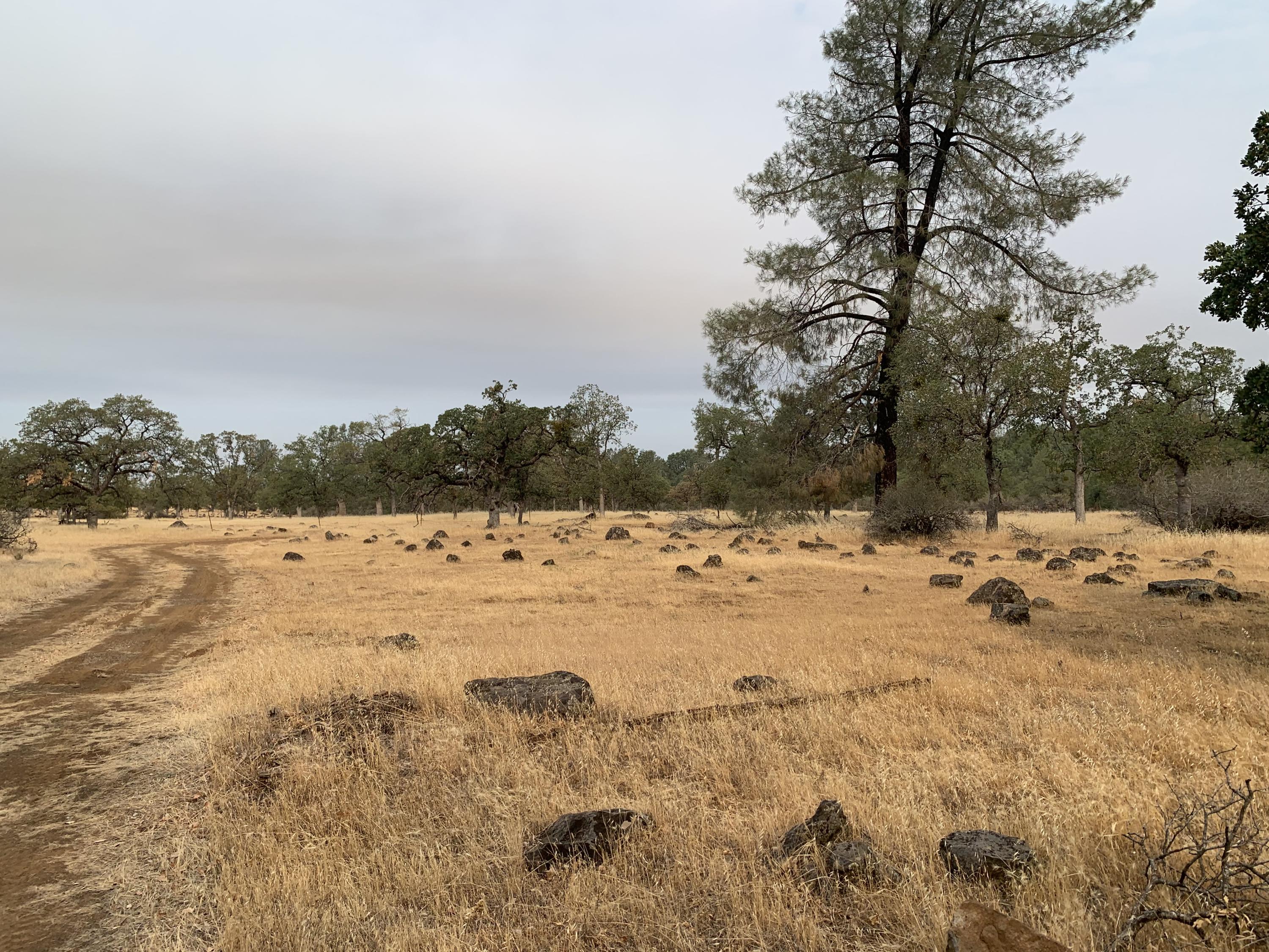 27977 Rancheria Creek Road Shingletown, CA 96088 - Photo 10 of 16 IMG-6941
