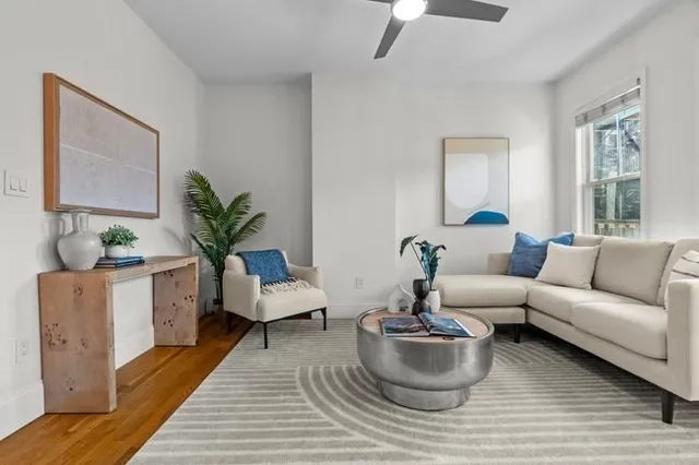 a living room with furniture and a potted plant