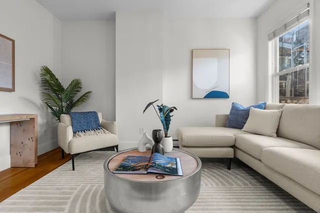a living room with furniture and a potted plant