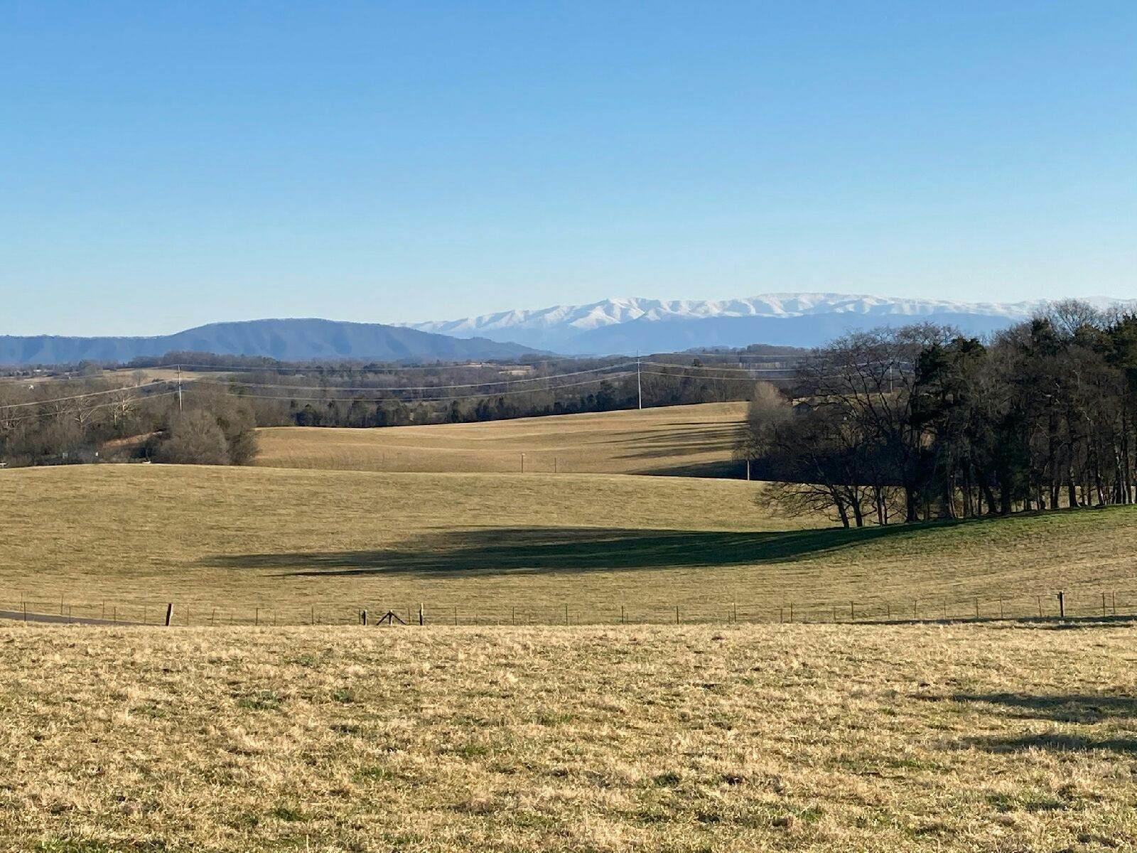 5.02 Acres West Greenback, TN 37742 - Photo 1 of 9 Meadow Road West 5.02 Acres