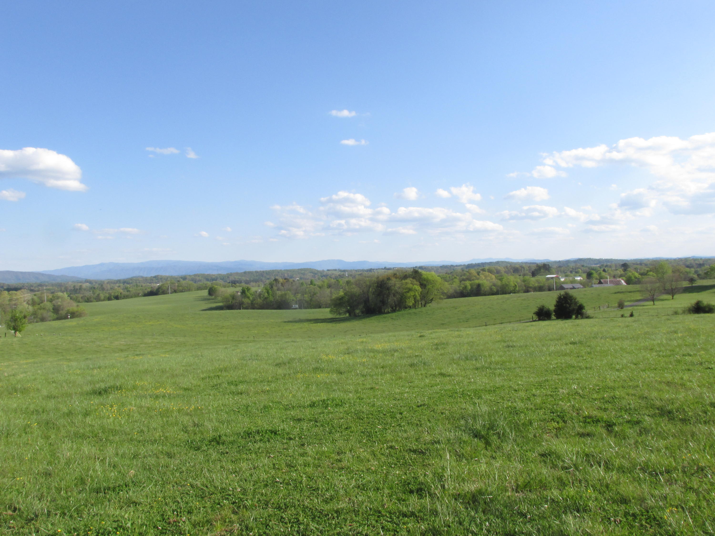 5.02 Acres West Greenback, TN 37742 - Photo 4 of 9 IMG_3301