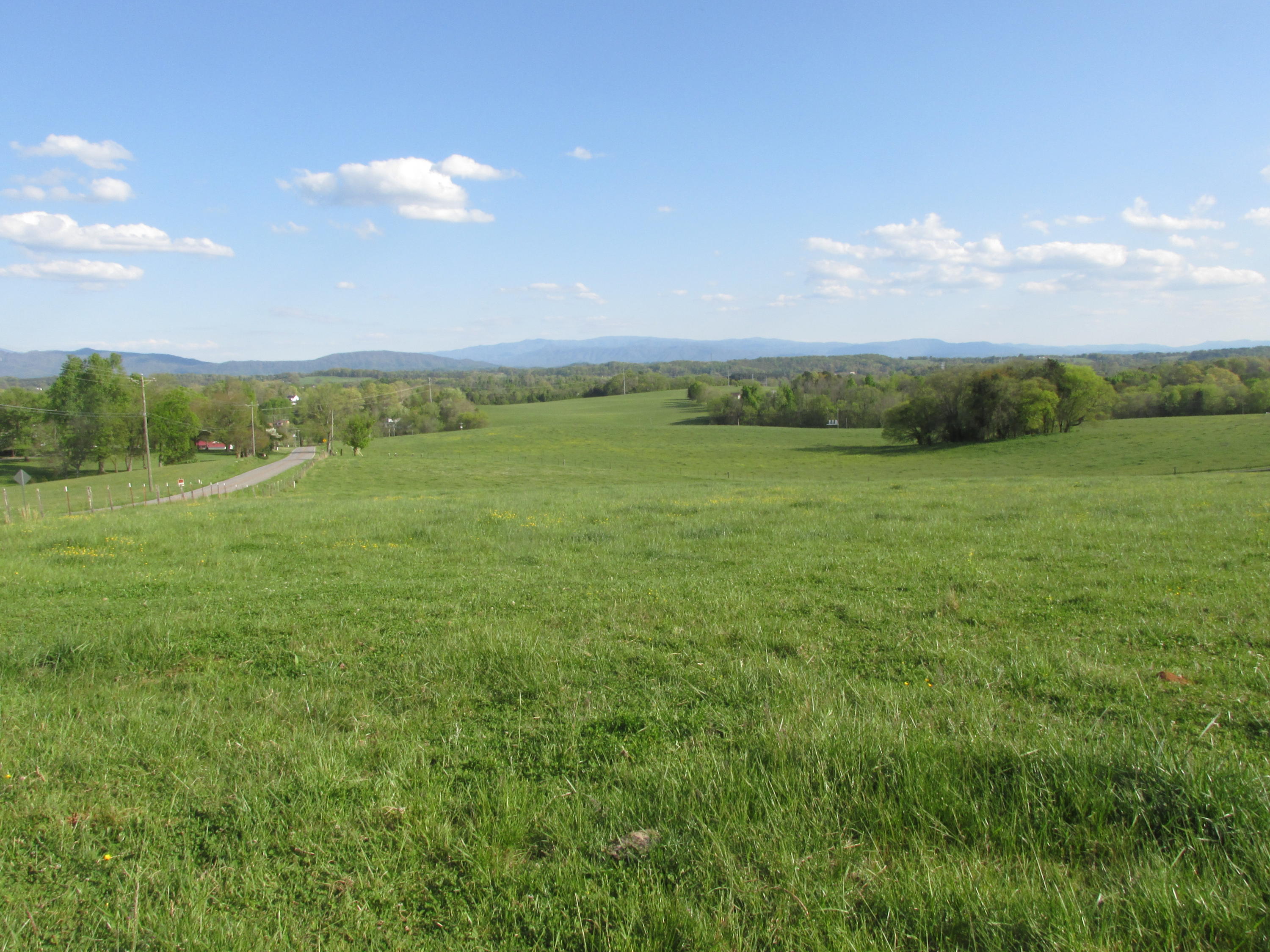 5.02 Acres West Greenback, TN 37742 - Photo 5 of 9 IMG_3307