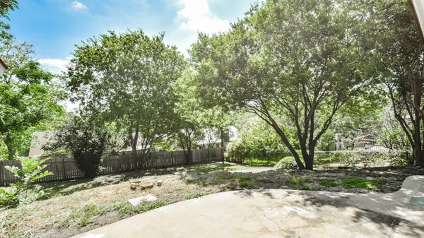 a view of a yard with plants and trees
