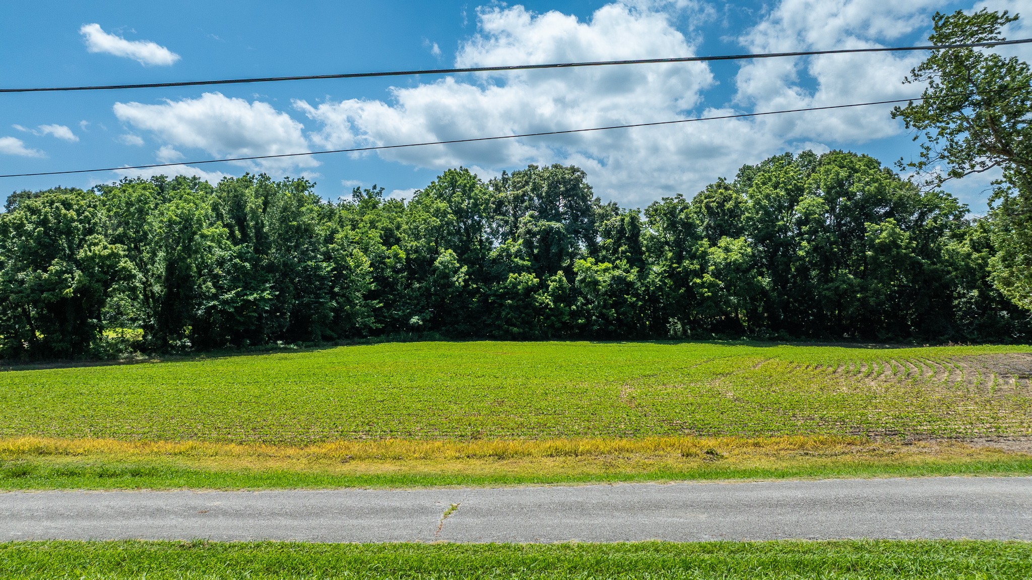 325 Harts Mill Road Atwood, TN 38220 - Photo 41 of 44