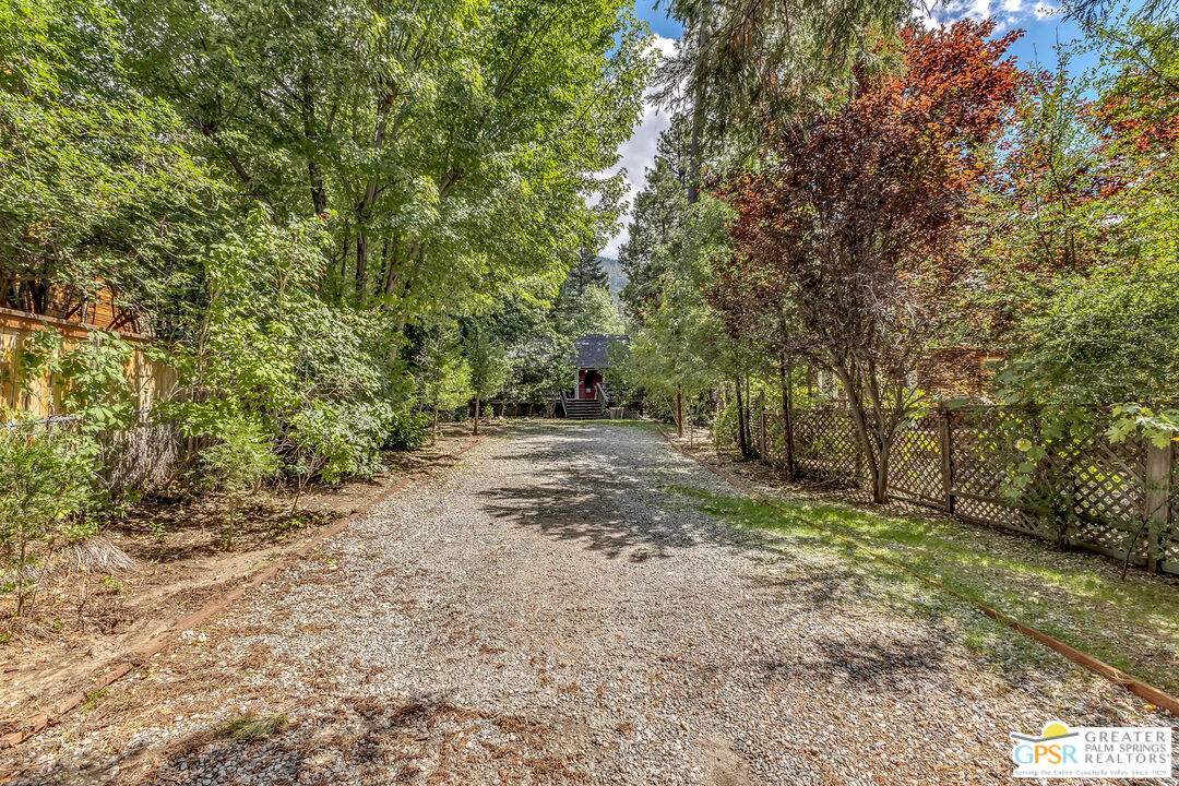 25300 Tahquitz Road Idyllwild, CA 92549 - Photo 2 of 75 a view of a yard with a tree