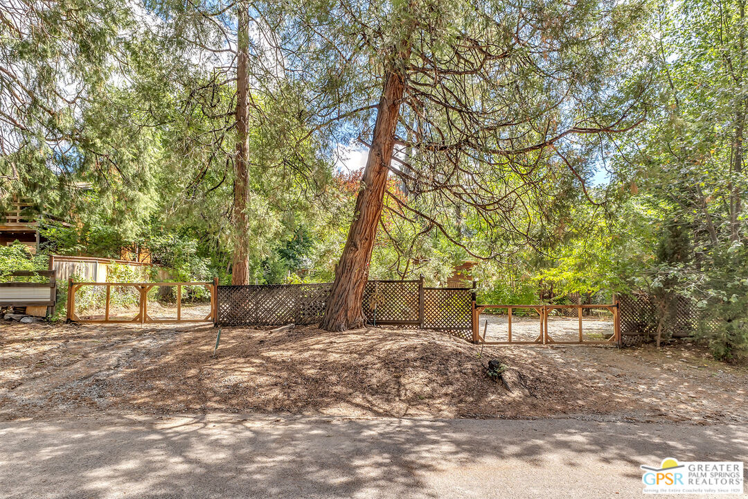 25300 Tahquitz Road Idyllwild, CA 92549 - Photo 45 of 75 a view of a yard with plants and trees