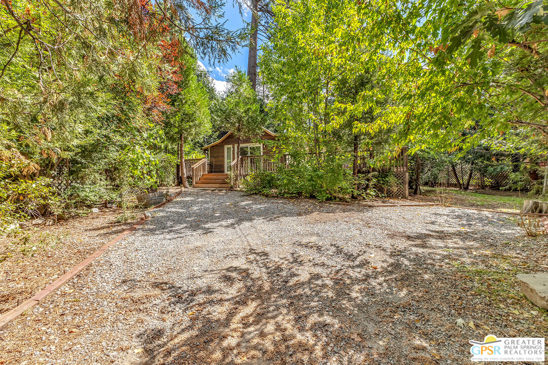 25300 Tahquitz Road Idyllwild, CA 92549 - Photo 47 of 75 a view of a yard with plants and trees