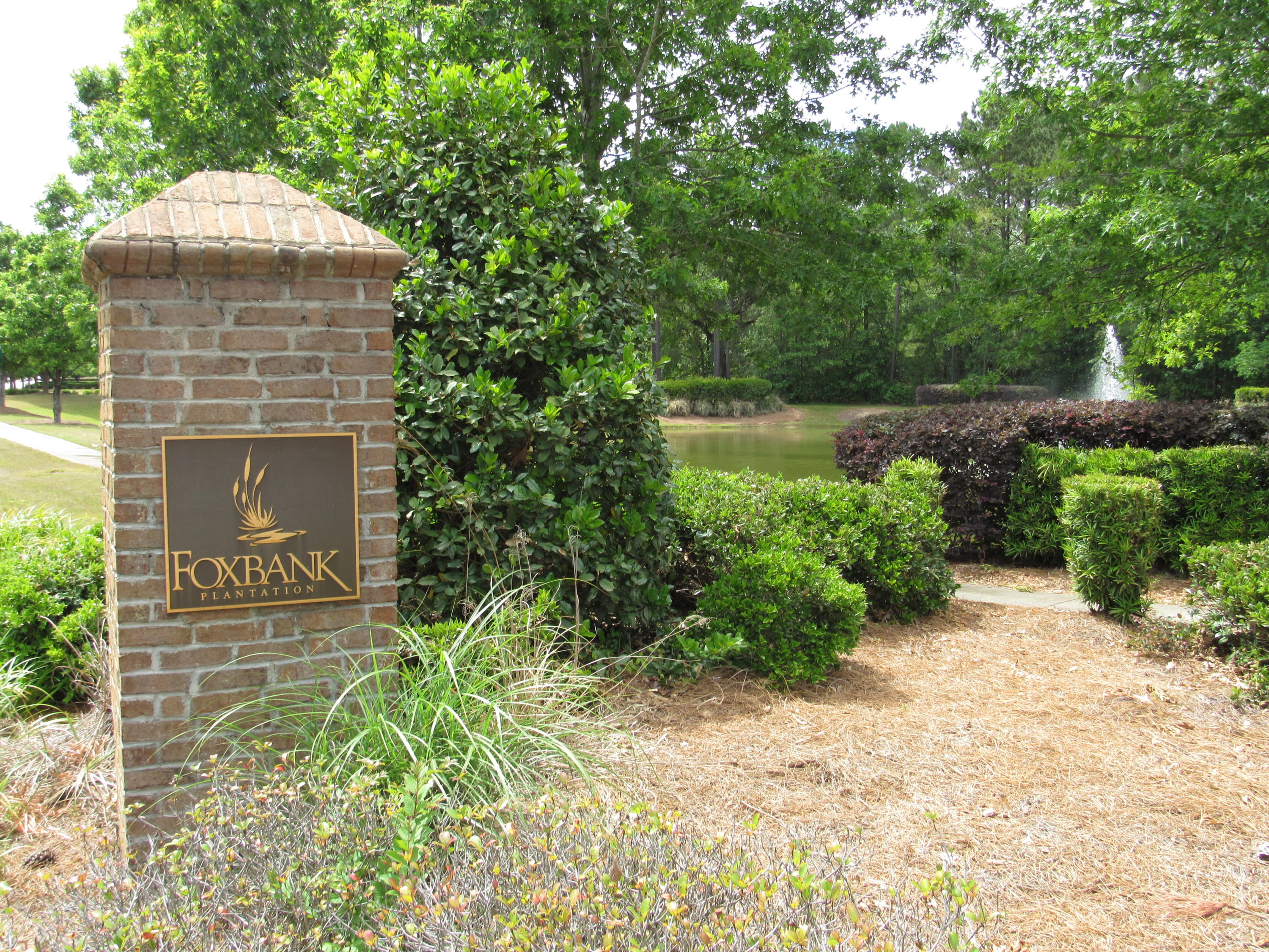 116 Ricewood Lane Moncks Corner, SC 29461 - Photo 35 of 46 35-IMG_1169