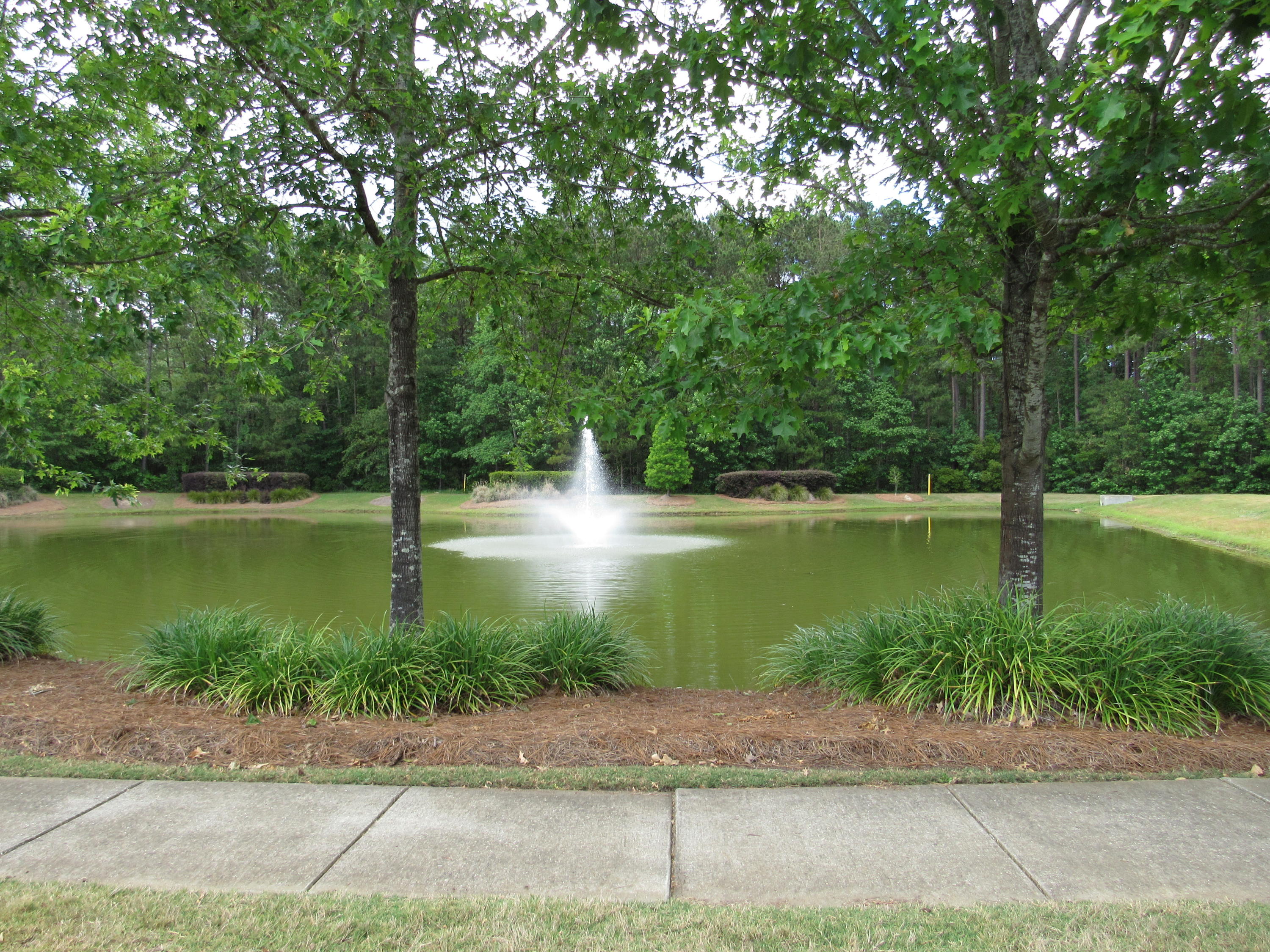 116 Ricewood Lane Moncks Corner, SC 29461 - Photo 36 of 46 36-IMG_1178