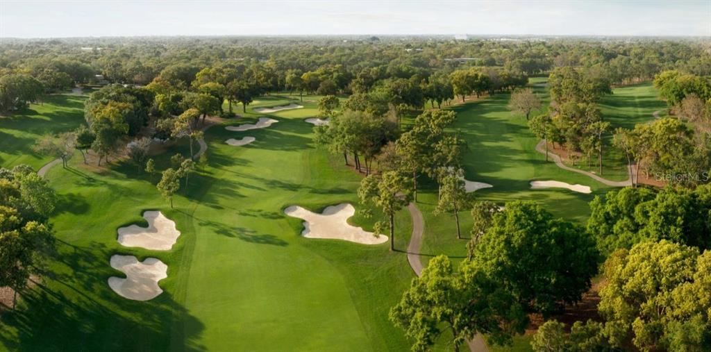 1874 Havenly Ridge Palm Harbor, FL 34683 - Photo 15 of 28 a view of a lake with green space