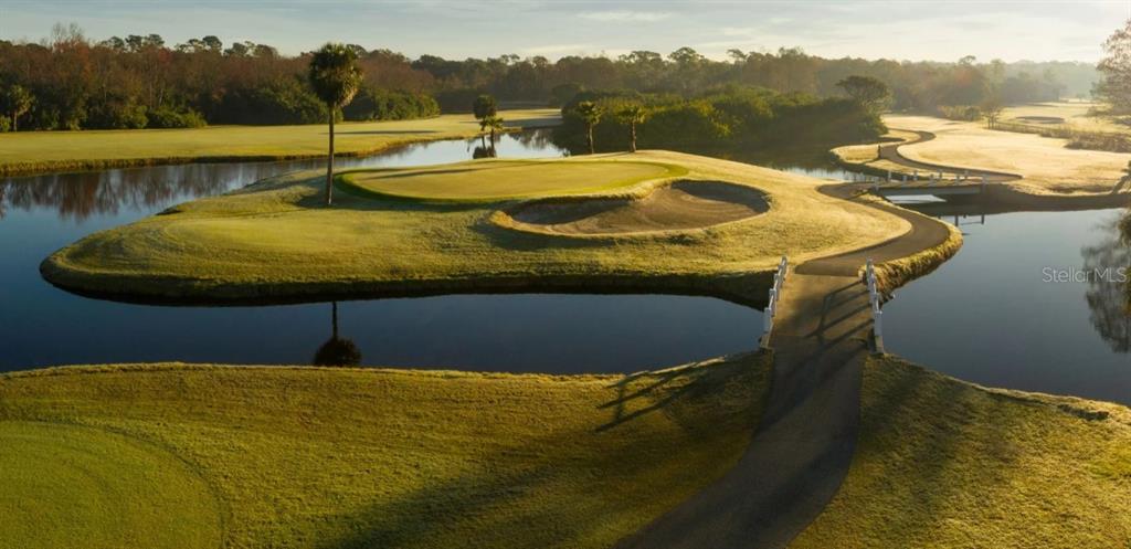 1874 Havenly Ridge Palm Harbor, FL 34683 - Photo 16 of 28 a view of a swimming pool with a lake view
