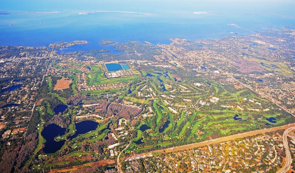 1874 Havenly Ridge Palm Harbor, FL 34683 - Photo 18 of 28 an aerial view of residential houses with outdoor space