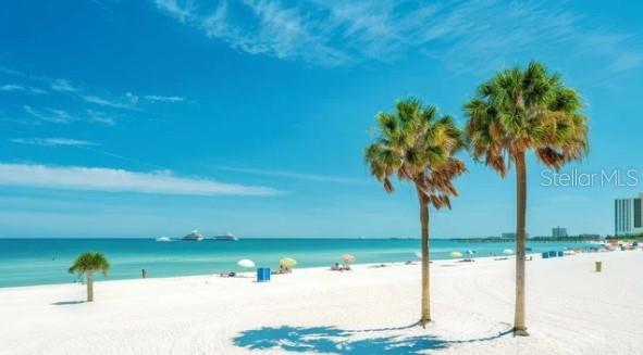 1874 Havenly Ridge Palm Harbor, FL 34683 - Photo 24 of 28 a view of a lake