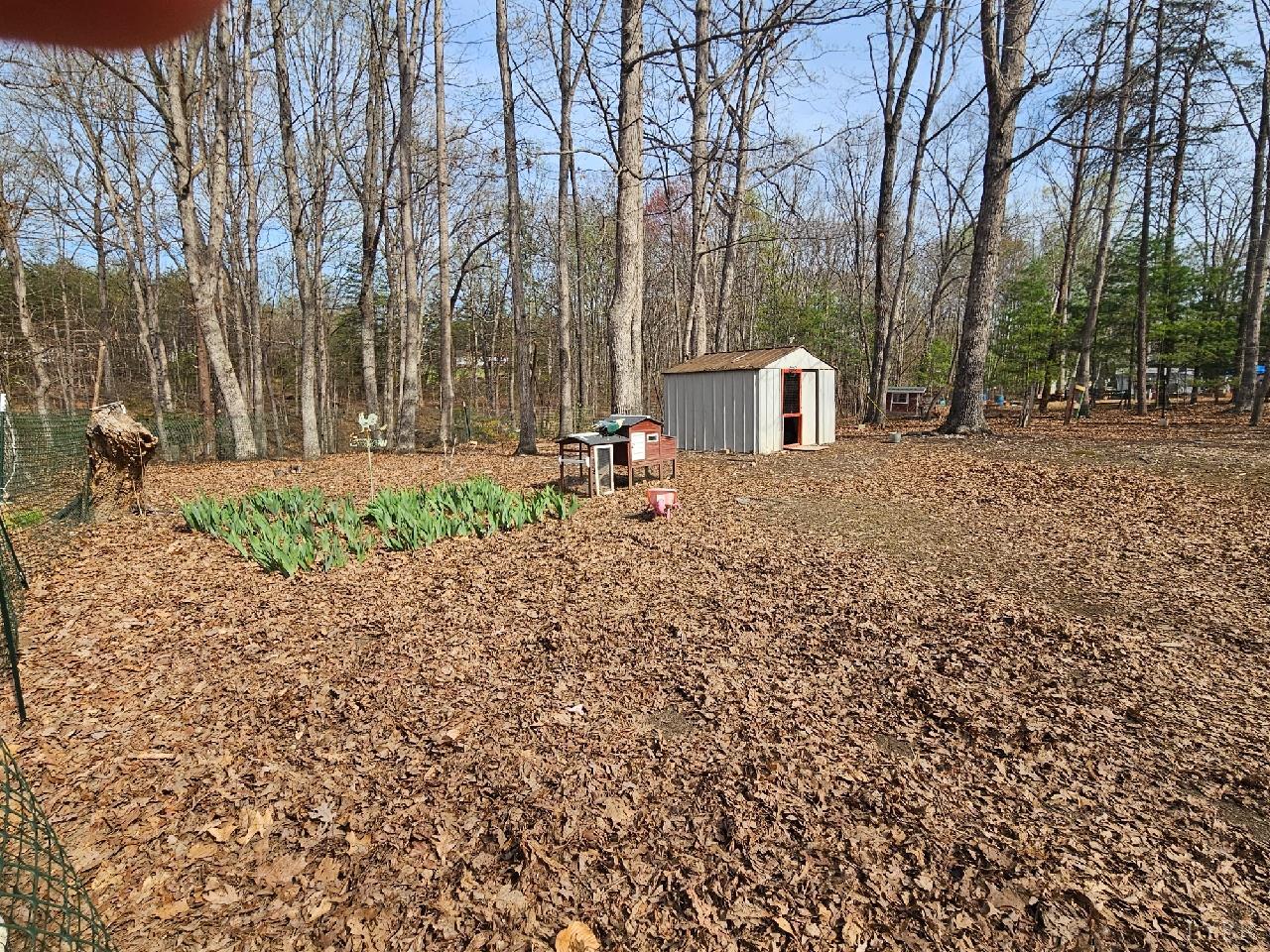413 Plum Branch Road Lynchburg, VA 24504 - Photo 20 of 22 a front view of a house with a yard