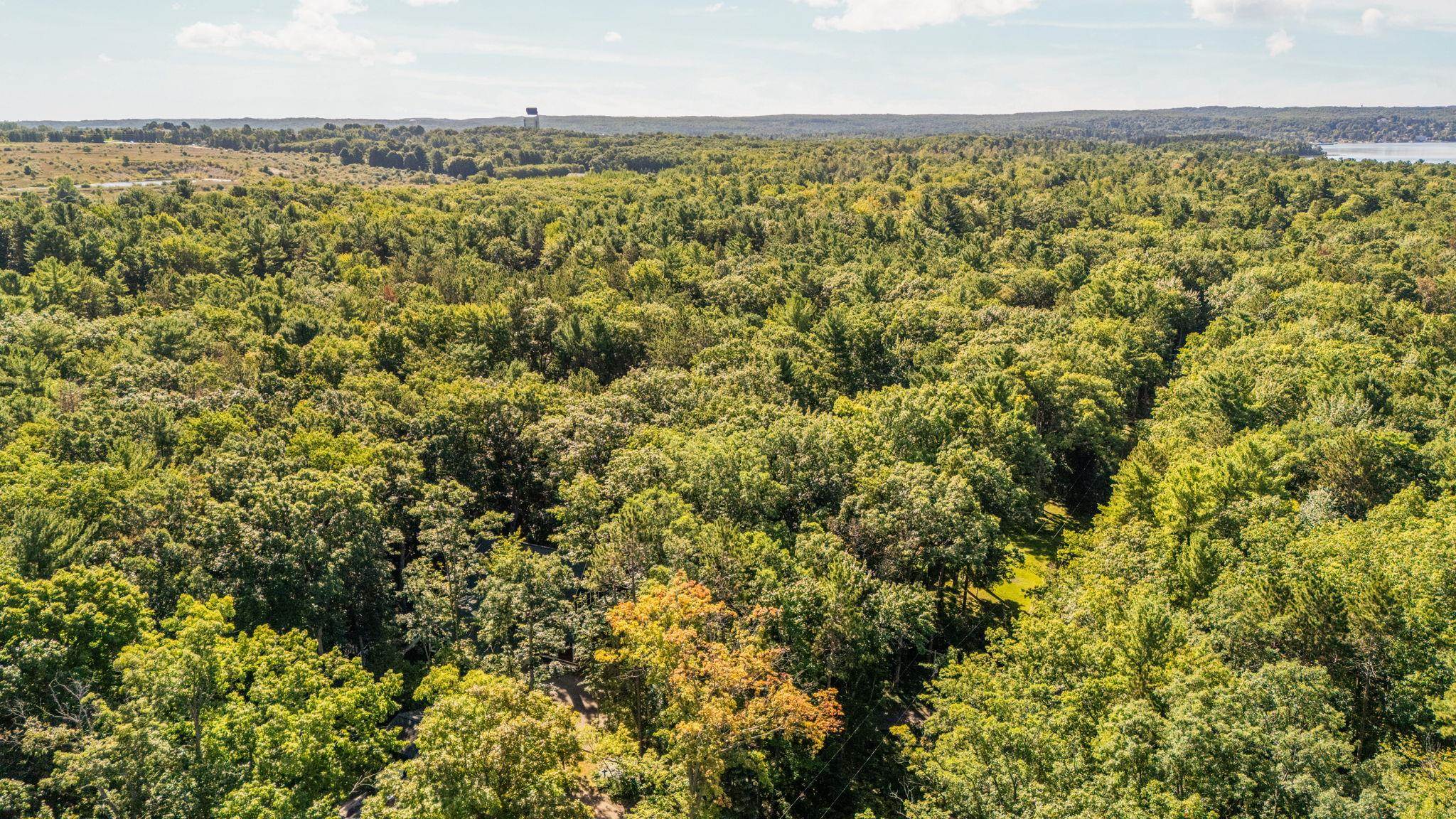 7380 Deepwater Point Road Williamsburg, MI 49690 - Photo 83 of 86 1950629-54f27a37-6367-479c-a396-2a6f286226fe.JPG