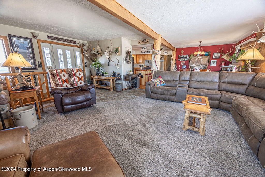 1020 Thompson Way Craig, CO 81625 - Photo 9 of 92 a living room with furniture and a couch