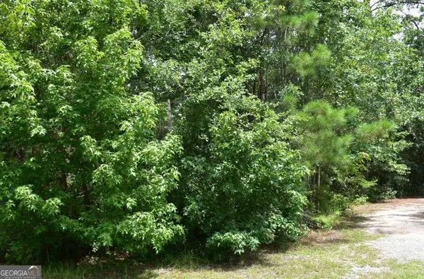 a view of a lush green forest