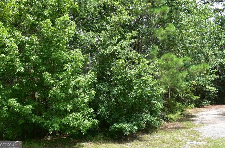 Lot 34 Azalea Drive Midway, GA 31320 - Photo 2 of 2 a view of a lush green forest