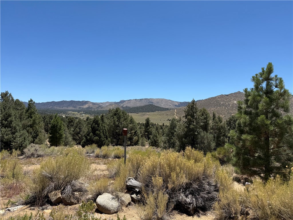 97940 Deodar Road Kennedy Meadows, CA 93527 - Photo 15 of 21 a view of a mountain