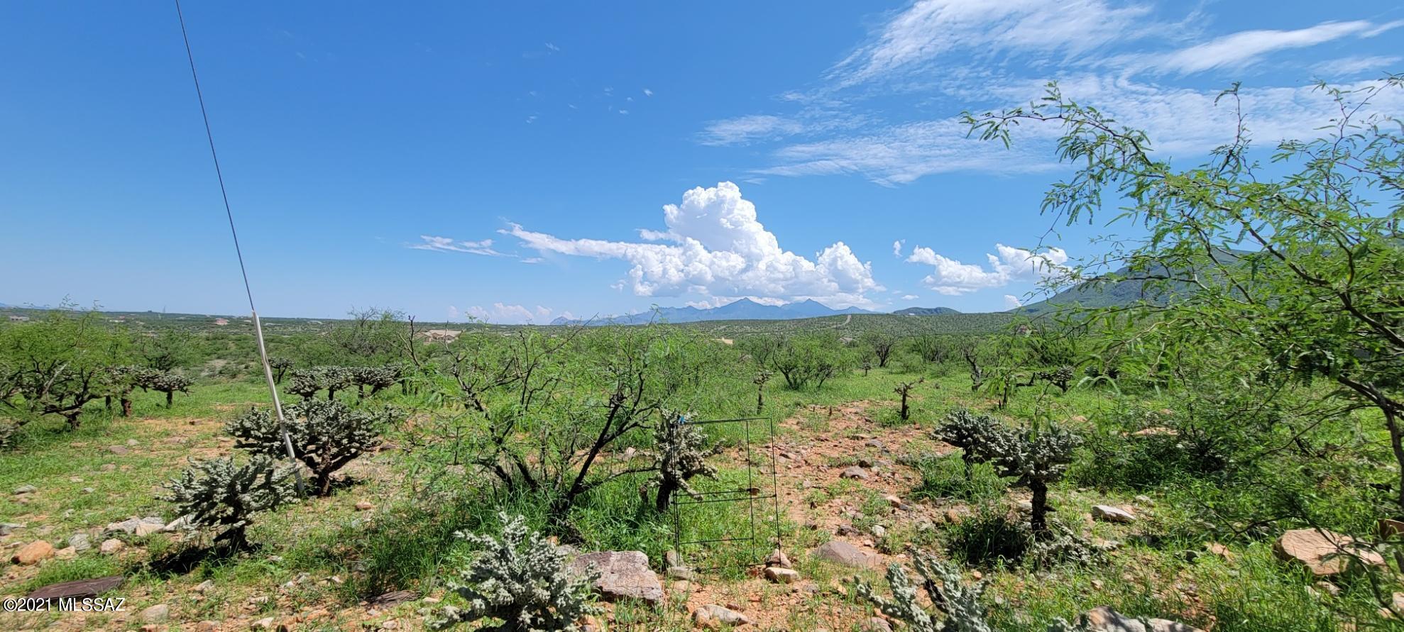1683 Eje Court, Unit 183 Rio Rico, AZ 85648 - Photo 14 of 14