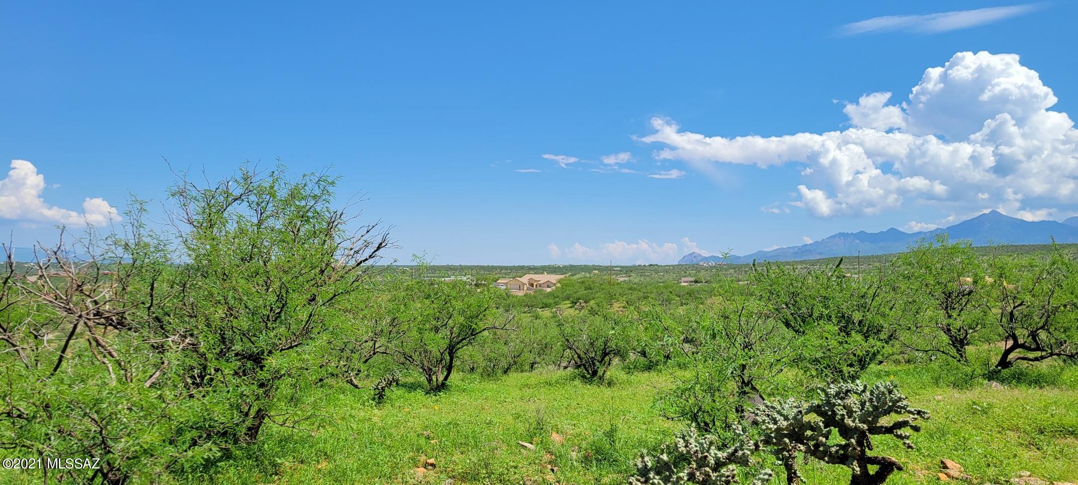 1683 Eje Court, Unit 183 Rio Rico, AZ 85648 - Photo 5 of 14