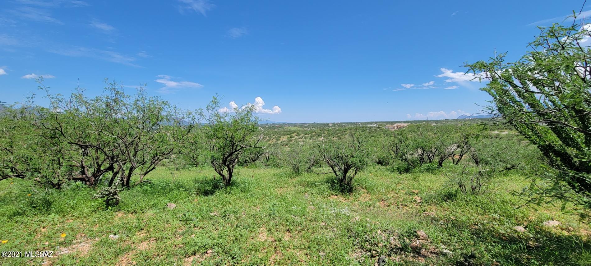 1683 Eje Court, Unit 183 Rio Rico, AZ 85648 - Photo 8 of 14