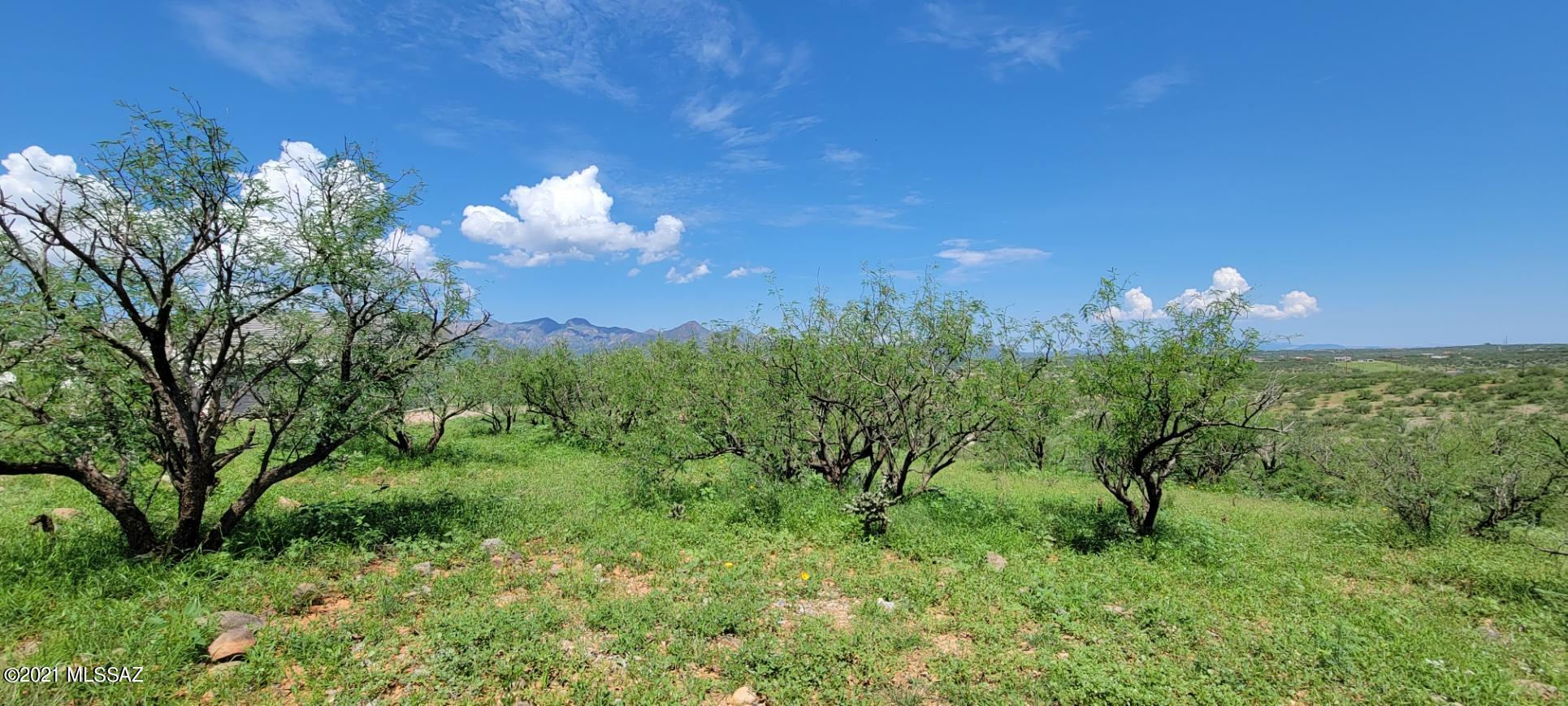 1683 Eje Court, Unit 183 Rio Rico, AZ 85648 - Photo 9 of 14