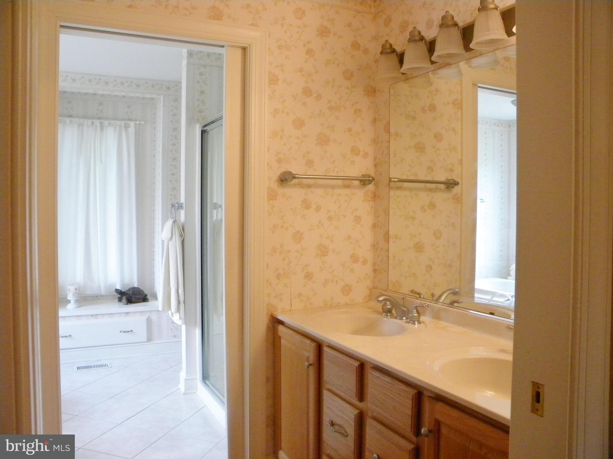 10767 Cliff Mills Road Marshall, VA 20115 - Photo 14 of 30 Double vanity and walk in closet