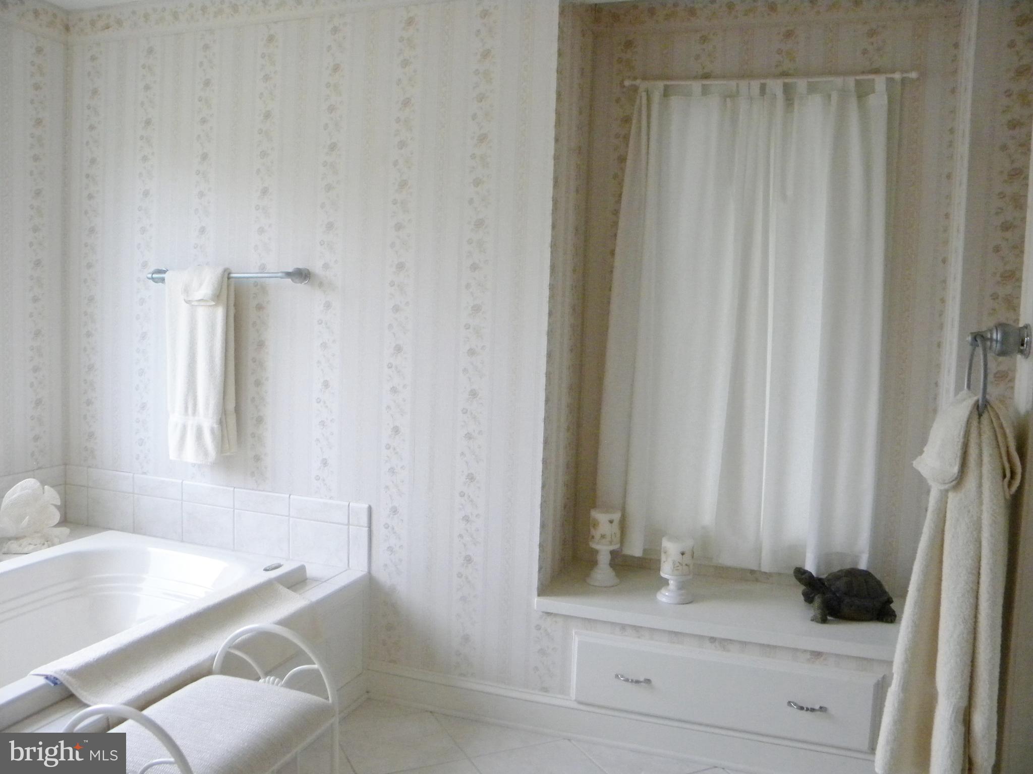 10767 Cliff Mills Road Marshall, VA 20115 - Photo 15 of 30 Soaking tub and drawer storage