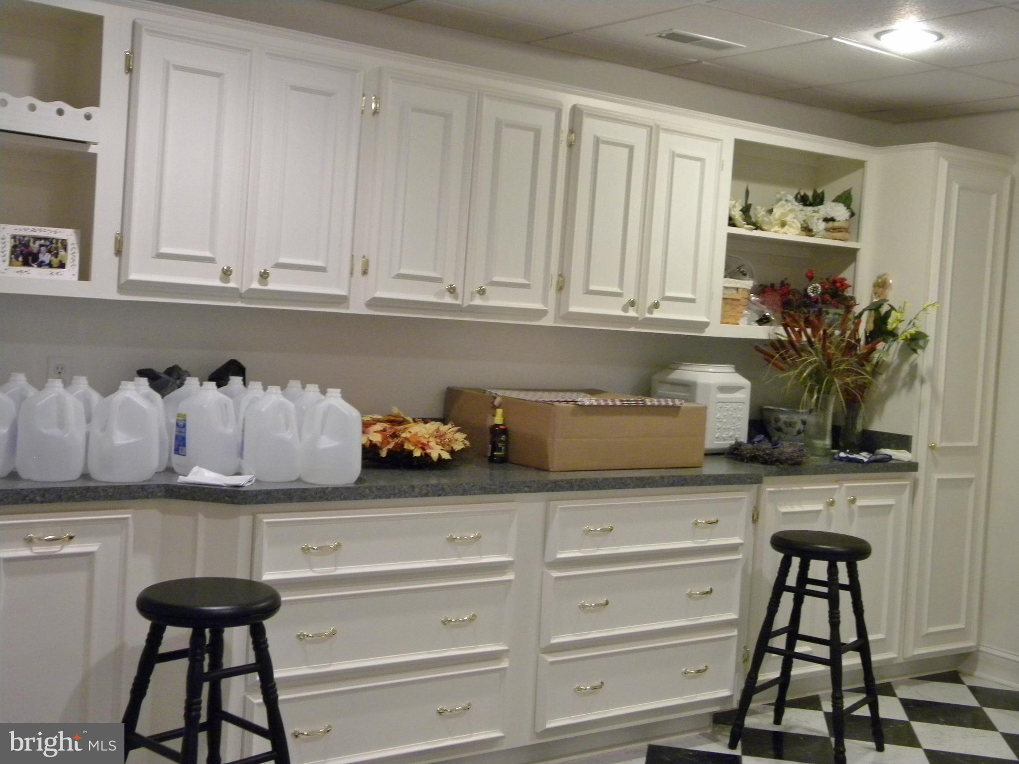 10767 Cliff Mills Road Marshall, VA 20115 - Photo 17 of 30 Laundry w/ custom cabinets & lots of storage
