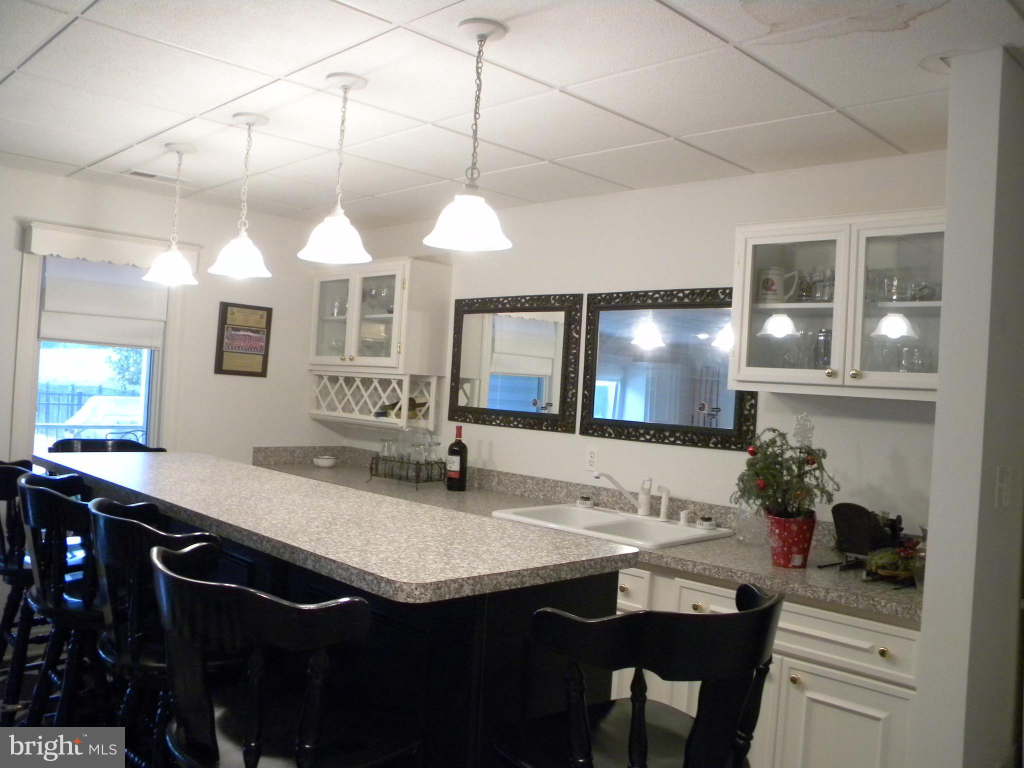 10767 Cliff Mills Road Marshall, VA 20115 - Photo 20 of 30 Bar area with full sink and cabinets for storage