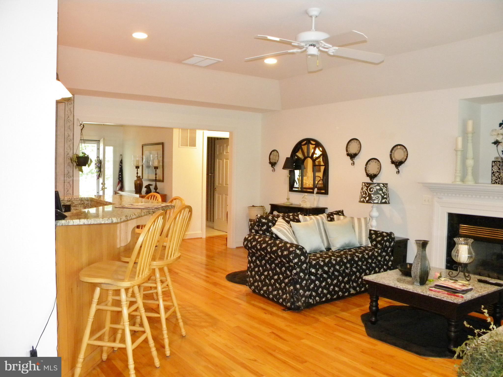 10767 Cliff Mills Road Marshall, VA 20115 - Photo 9 of 30 Living Room with wood floors & gas fireplace