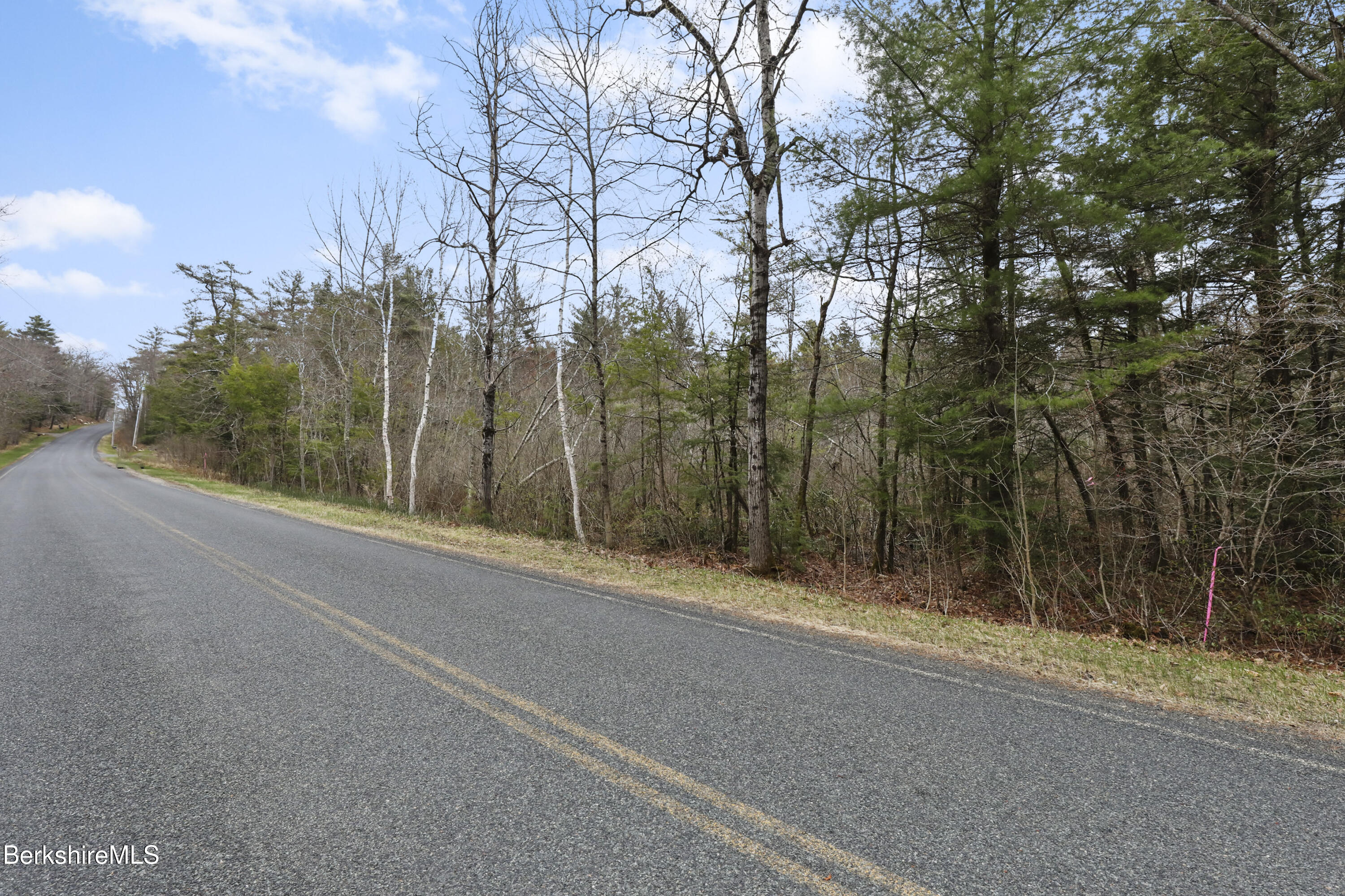 0 West Hubbard Road Sandisfield, MA 01255 - Photo 2 of 9 a view of a forest