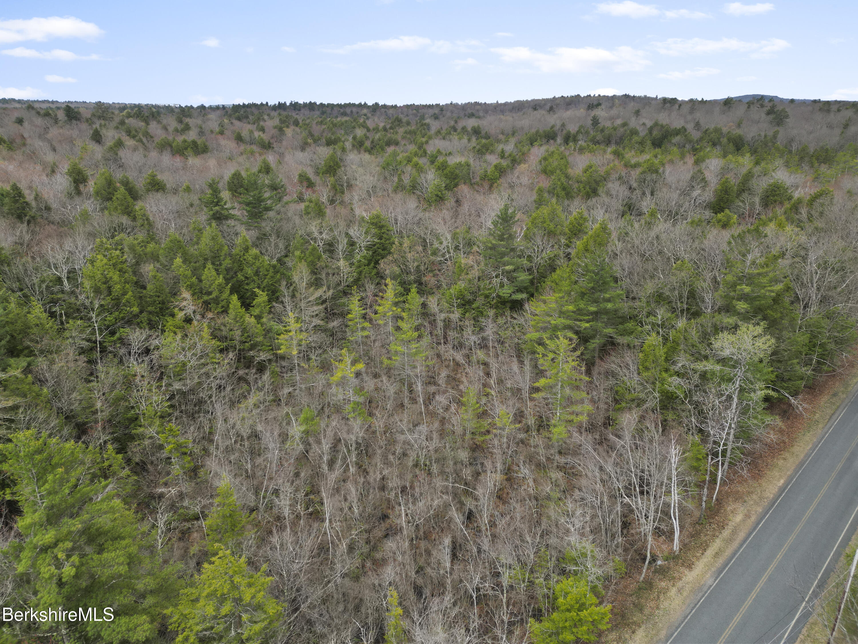 0 West Hubbard Road Sandisfield, MA 01255 - Photo 5 of 9 a view of a forest with an outdoor space