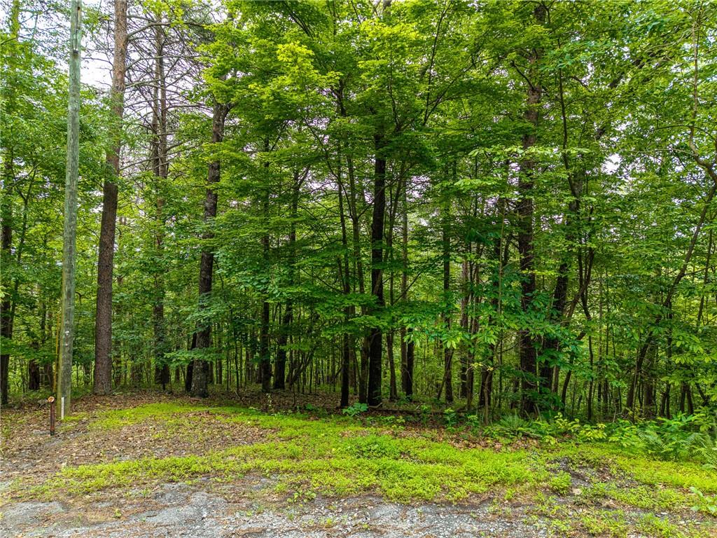 1332 Birch Lane Ranger, GA 30734 - Photo 2 of 48