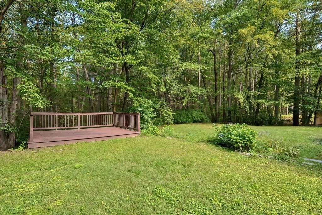 31 Clarkson Drive Walpole, MA 02081 - Photo 33 of 36 a view of a backyard with a garden