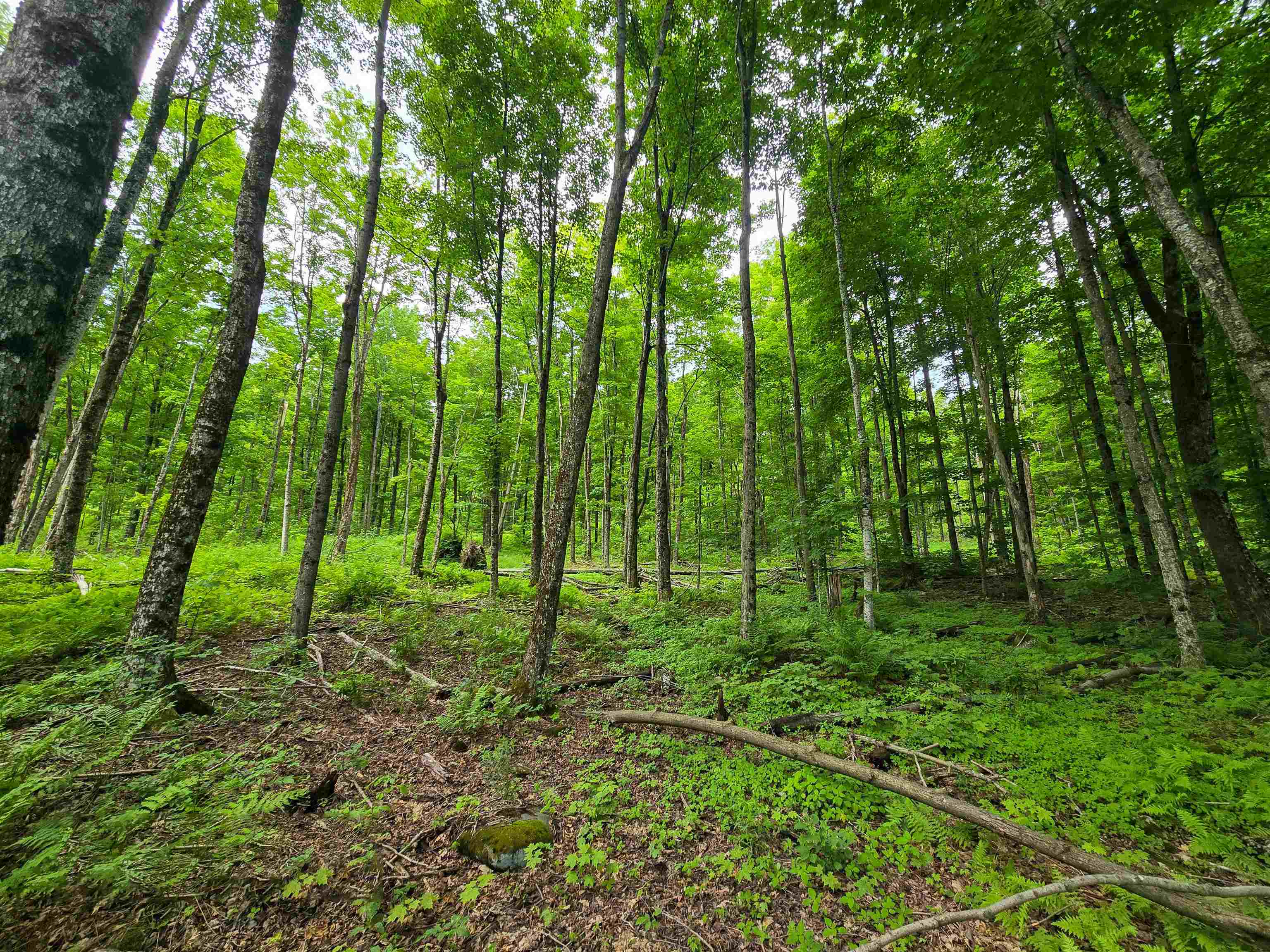 433 Wightman Hill Road Richford, VT 05476 - Photo 15 of 44