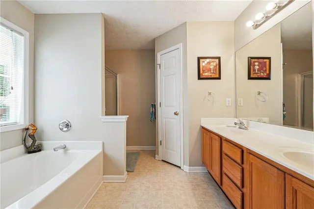 a bathroom with a tub sink and mirror