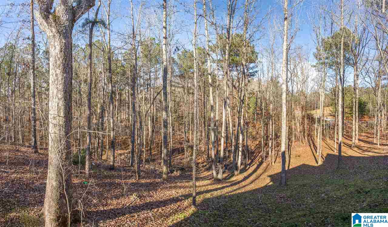 924 Blue Ridge Way Odenville, AL 35120 - Photo 42 of 50