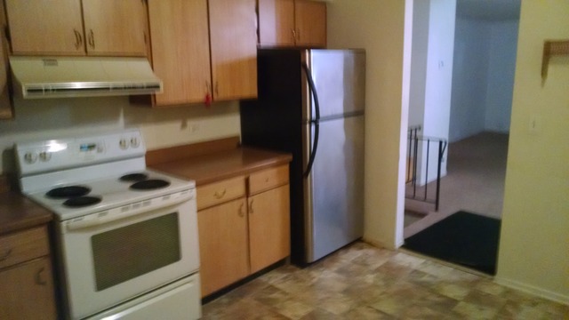 503 McHenry Road, Unit 1A Wheeling, IL 60090 - Photo 3 of 13