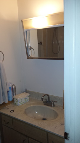 503 McHenry Road, Unit 1A Wheeling, IL 60090 - Photo 10 of 13