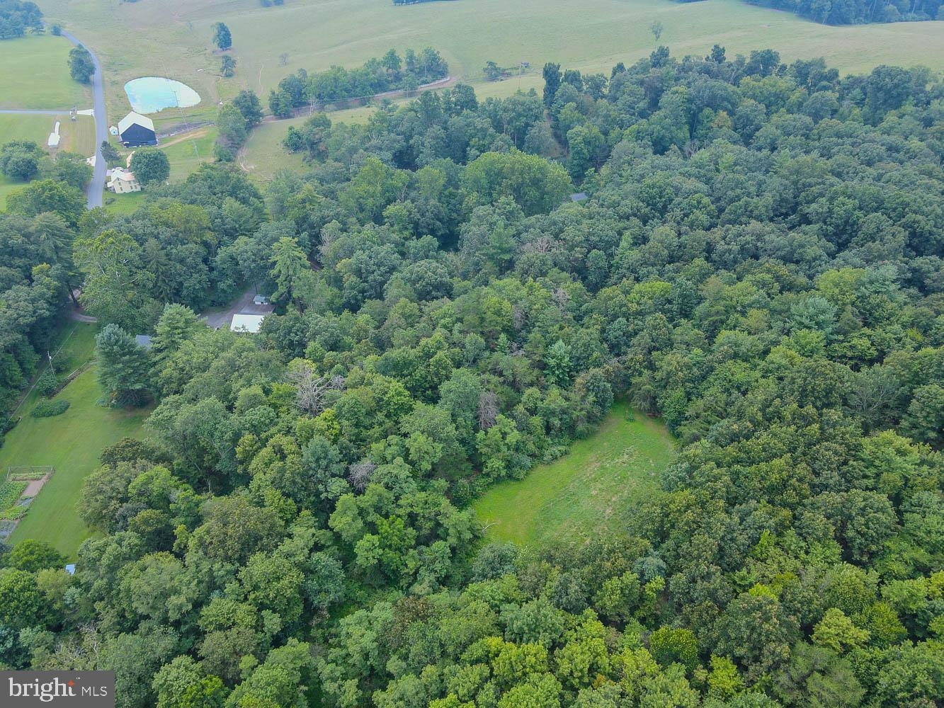 14742 Happy Hills Road Huntingdon, PA 16652 - Photo 42 of 48 a view of a forest with a street